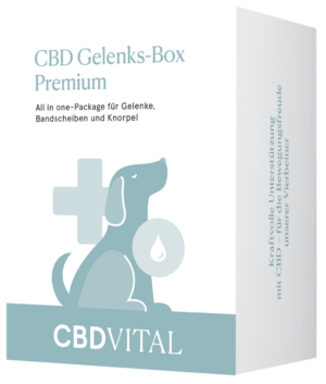 CBD VITAL CBD Gelenks-Box Premium