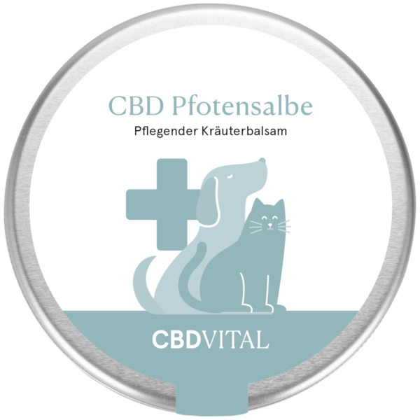 CBD VITAL CBD Pfotensalbe